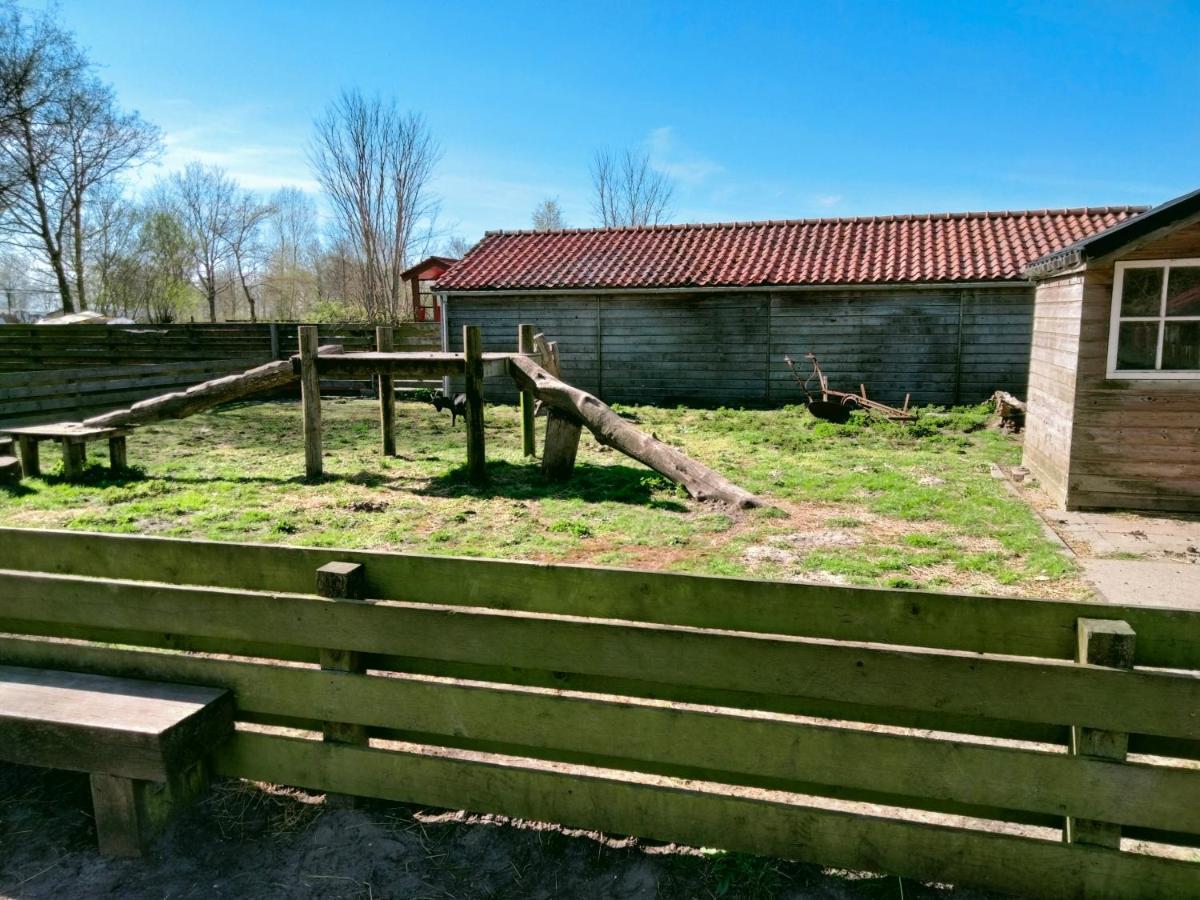 Bj Chalets - Robbengat 68 - Gezellige Chalet Op Vakantiepark Lauwersoog! Vroege Incheck! Exterior foto
